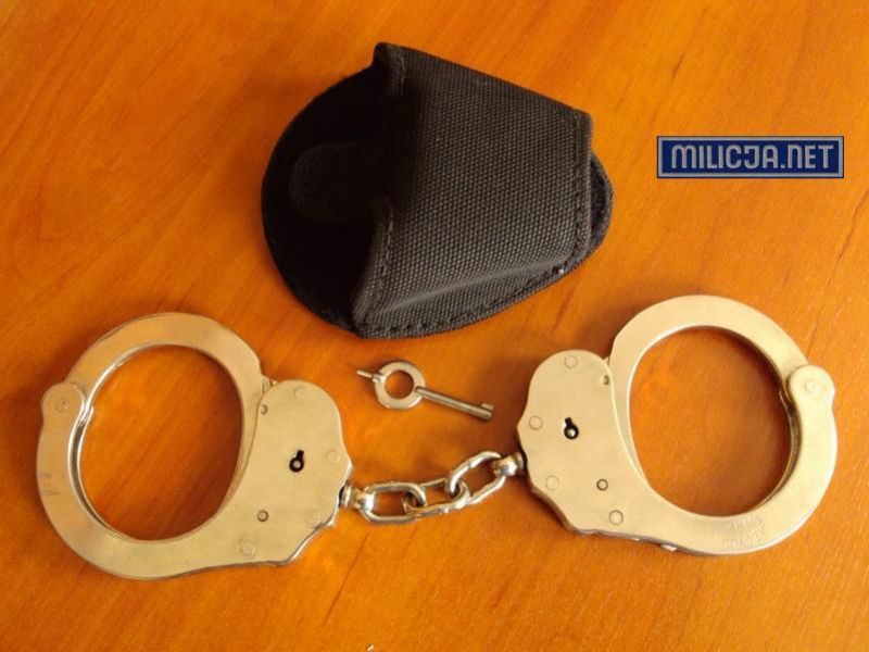 Kajdanki policyjne - Alcyon